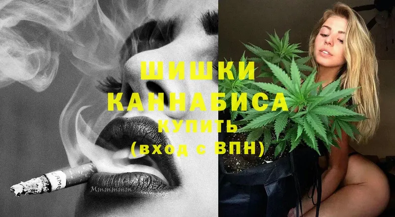 Бошки марихуана OG Kush  магазин продажи   Гвардейск 